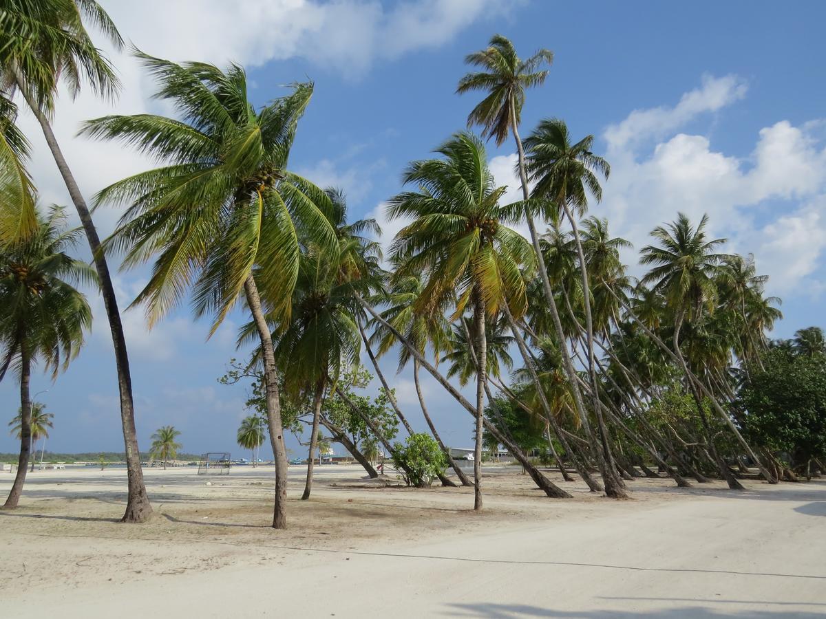 Smera Grand Maamigili Island Bagian luar foto