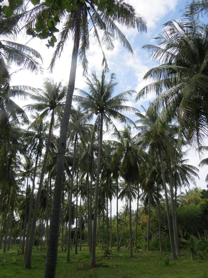 Smera Grand Maamigili Island Bagian luar foto