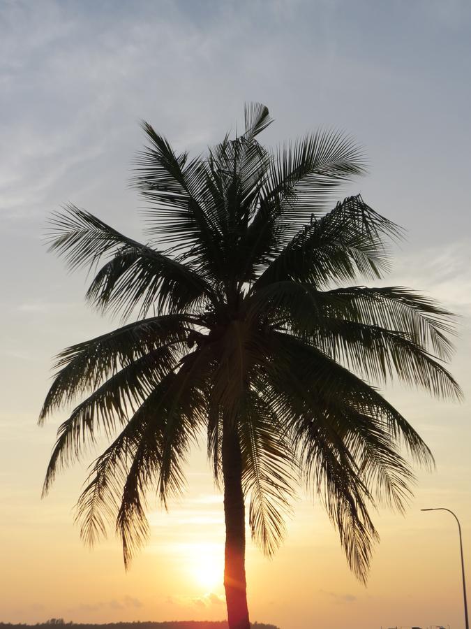 Smera Grand Maamigili Island Bagian luar foto