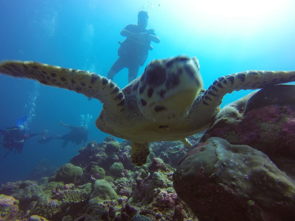 Smera Grand Maamigili Island Ruang foto